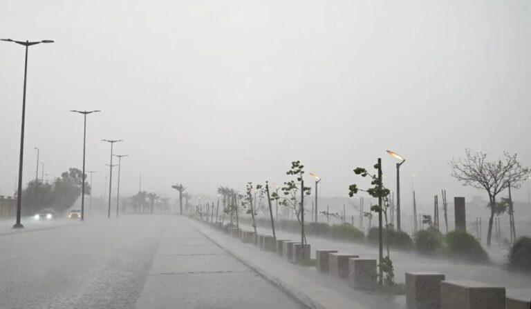 8f4c981e a427 4e1c ba2a f7e3c179af17 file.jpg