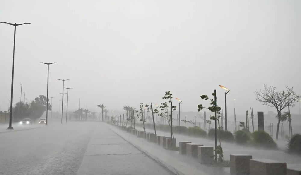 8f4c981e a427 4e1c ba2a f7e3c179af17 file.jpg