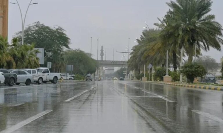 912670b0 10dd 4130 b38c 252cf58fcaab file.jpg