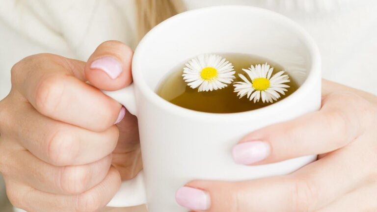 93890c0c ddba 4194 9a01 578fc2b13c39 file.jpg