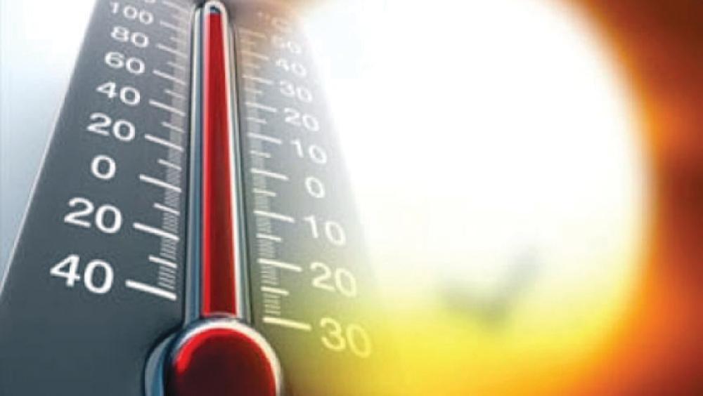 98f7e05e df18 4086 8d59 d0333b4baa59 file.jpg