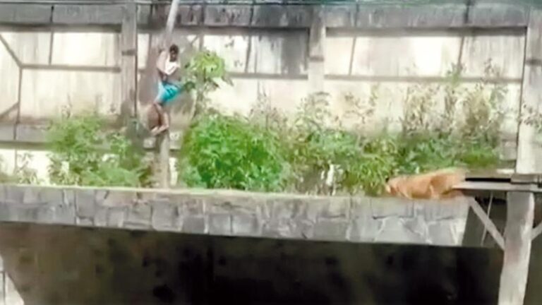 998e56f6 1f74 4e0a 8fd8 ad517908b7f5 file.jpg