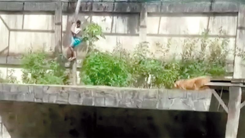 998e56f6 1f74 4e0a 8fd8 ad517908b7f5 file.jpg