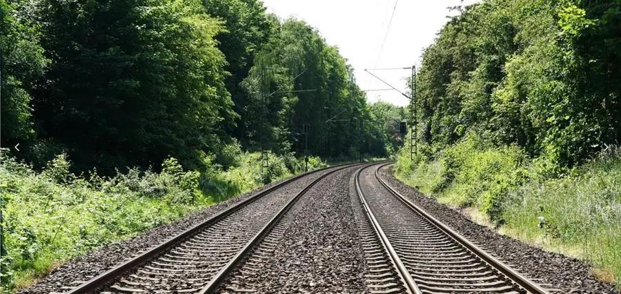 A16f723a 8172 478a ae80 e6f5a3c471e9 file.jpg