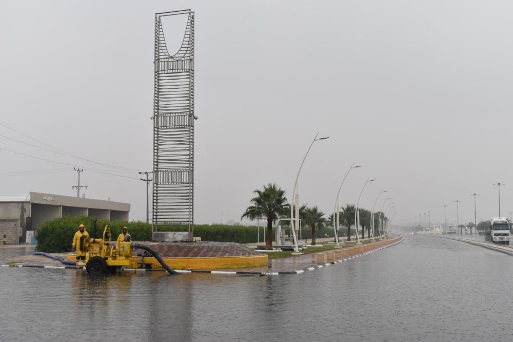 A2a7f2f2 948e 4a79 be21 48a12558de23 file.jpg