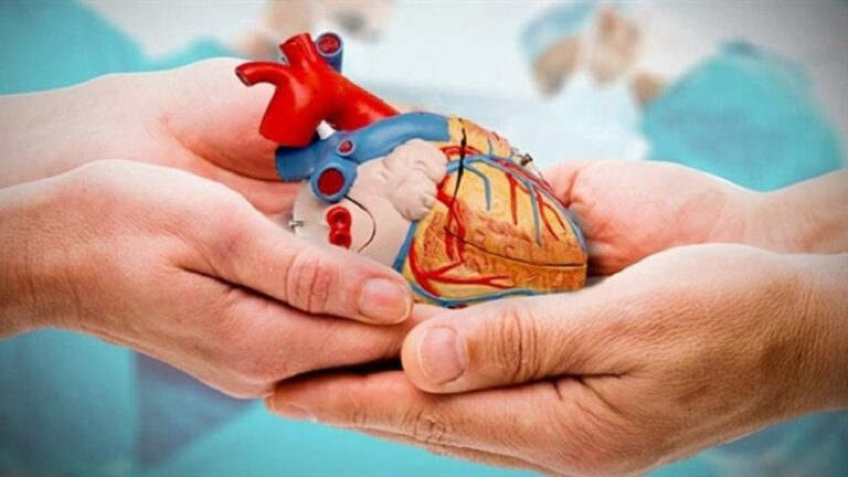 A4dcdaa3 3f51 4f7b accb d0771c8eada6 file.jpg