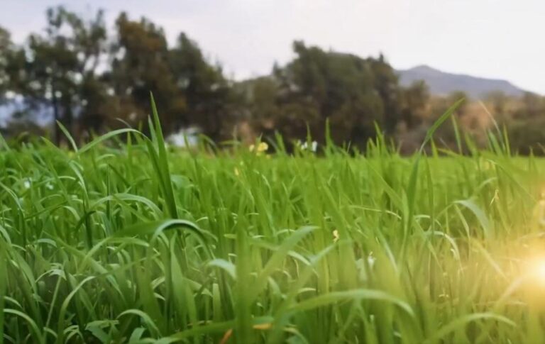 A6c92321 b175 4d5f a11a b456a4447368 file.jpg