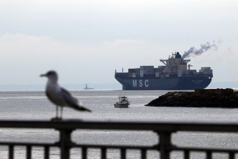 A8c238dd 98cd 46b4 bdf8 f70372f99dec file.jpeg