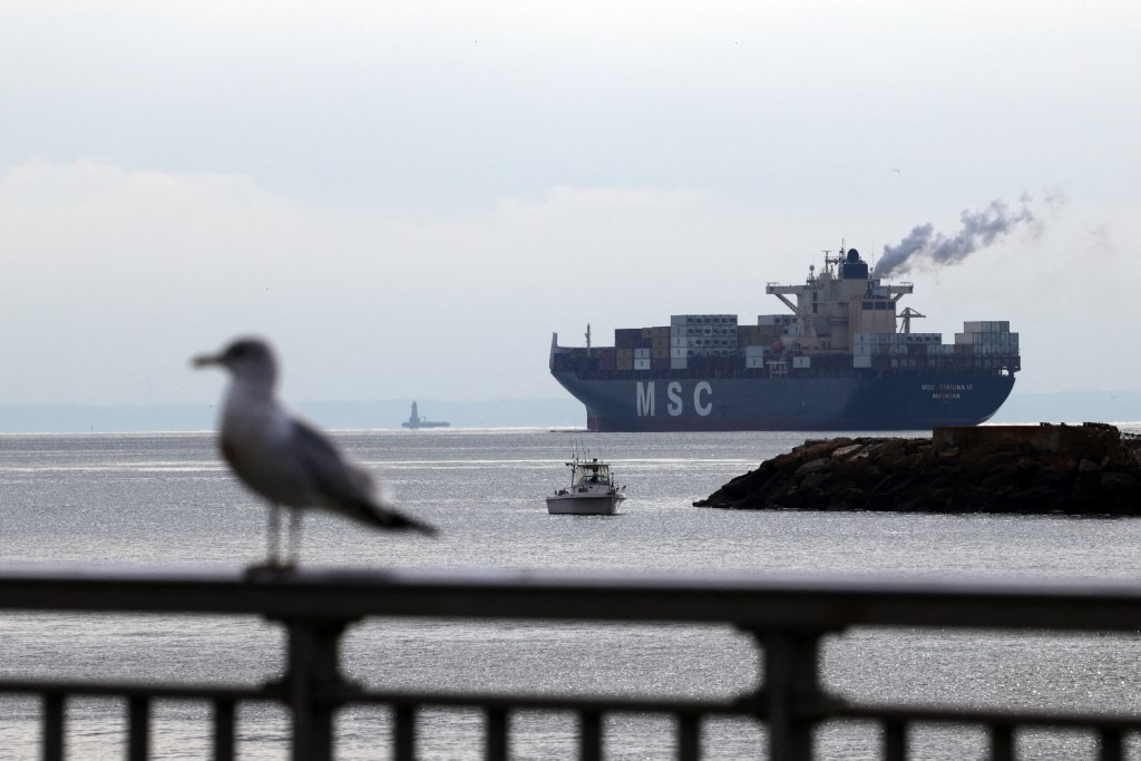 A8c238dd 98cd 46b4 bdf8 f70372f99dec file.jpeg