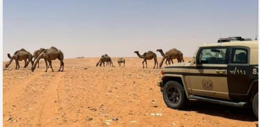 Aedb1025 7a61 42e9 90bf c6259cc9a5b8 file.jpg