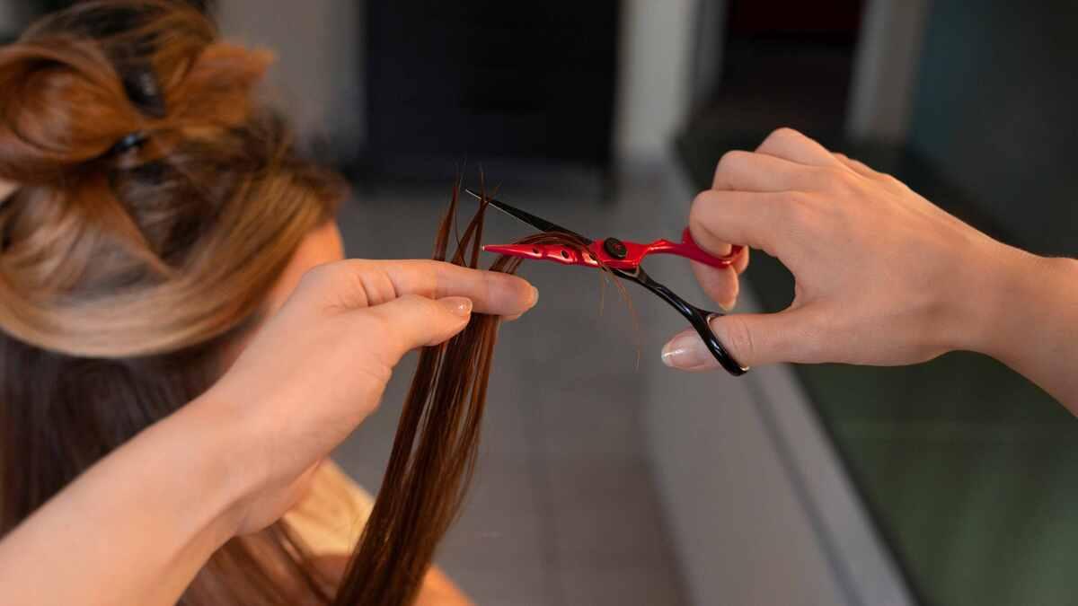 B128c848 ce78 42ae a831 d8a675714c2d file.jpg