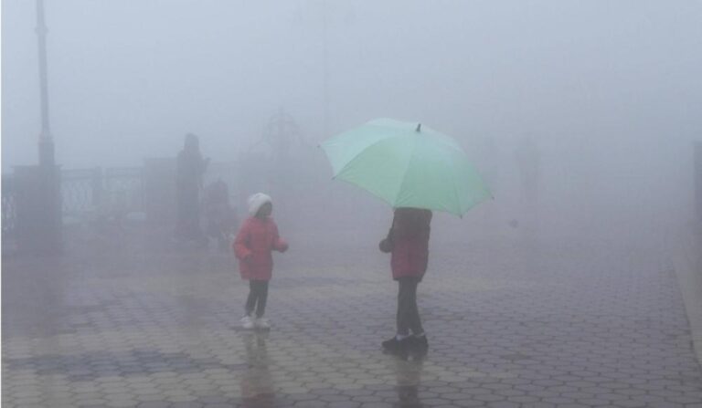 B29c49d5 0496 46e1 821c 976c93972230 file.jpg