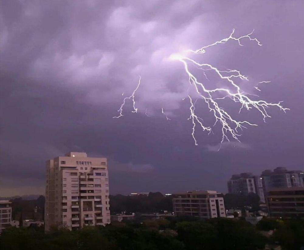 B8769a98 13fe 40f0 be6d 47dd0c265b6c file.jpg