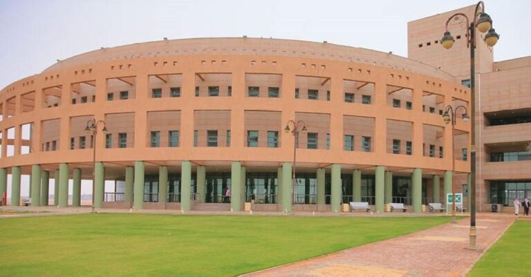 B951e558 bfd0 4b2d 838d b236e3c6198a file.jpg