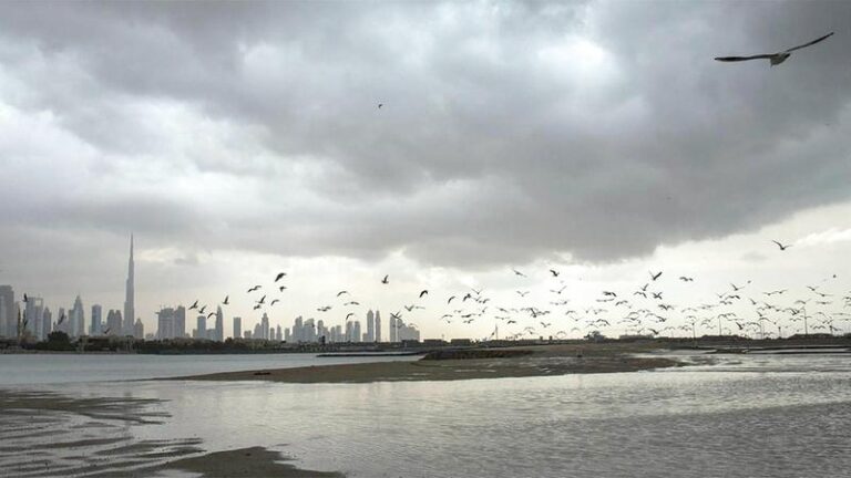 Bc673ec9 e1cc 4bab 80e5 32026f7ab379 file.jpg