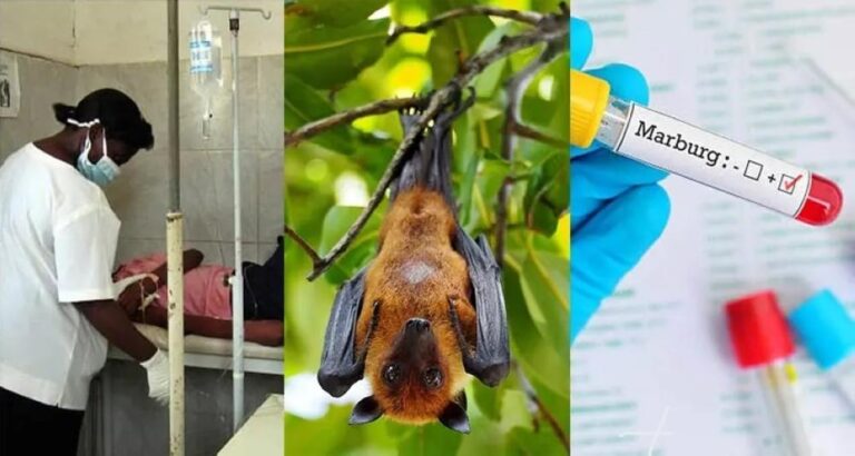 Bcbb554e 4642 465c 9768 d3fe7a59b25c file.jpg