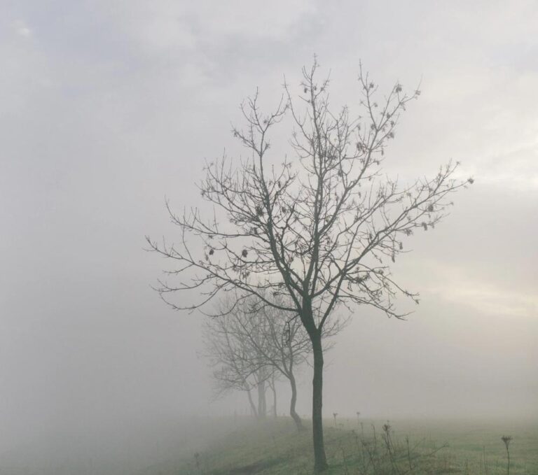 Bdd5dafa 852f 4708 afba 04395ad99d62 file.jpg