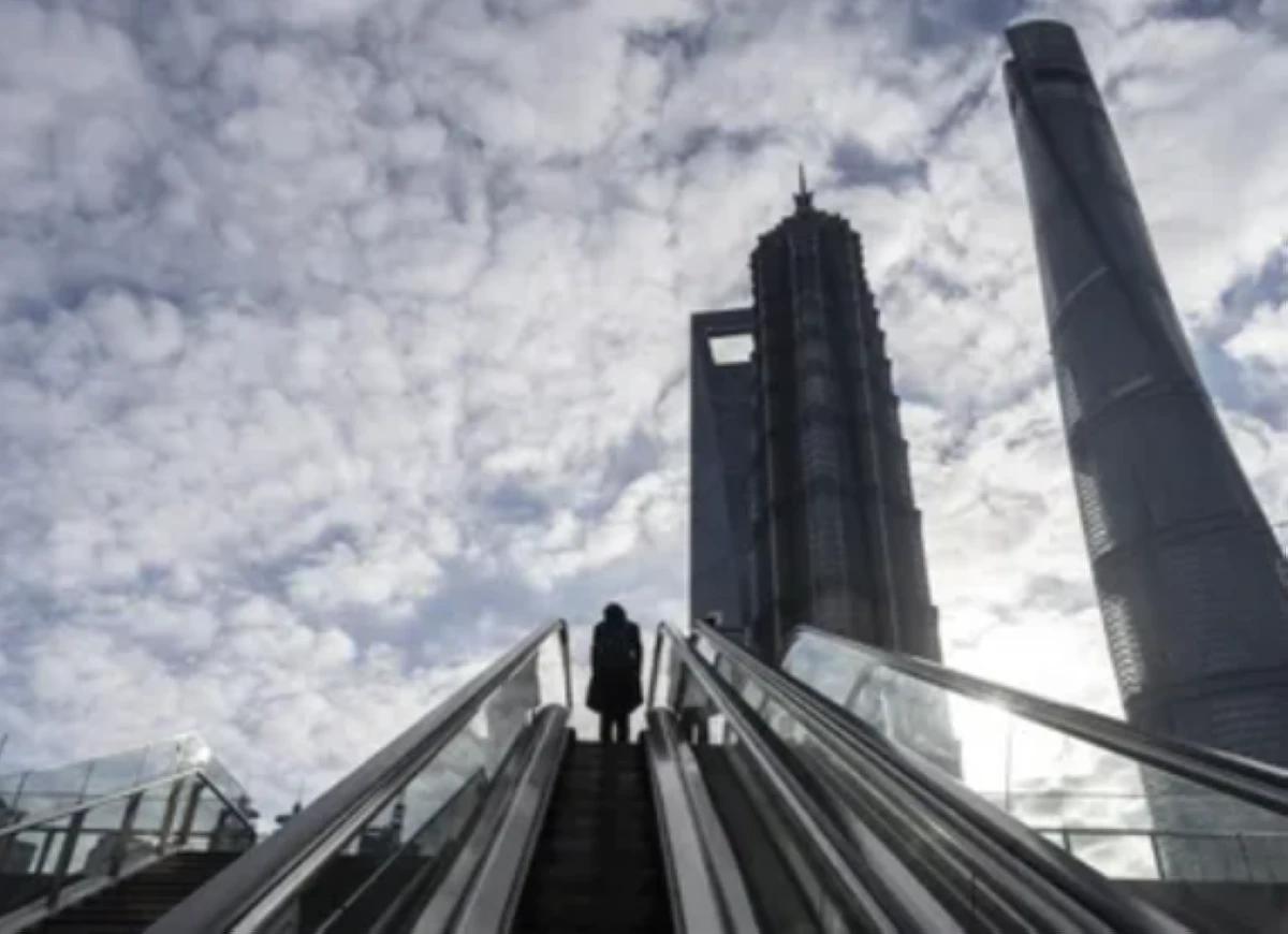 C23fb964 a4fb 4342 a667 77b6150a6dd0 file.jpg