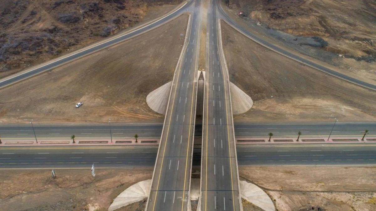 C32d078e 13e4 453a a3a1 a5990c857a95 file.jpg