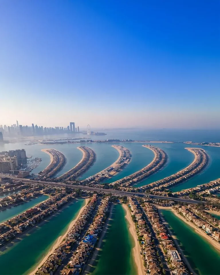 C3f895f1 486b 4d70 9b6f 29101e27fe72 zawta.webp