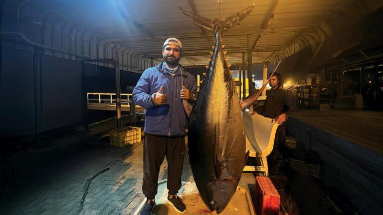 C57032a4 cf3f 48bb 9d64 ea6f1ecbfeeb file.jpg