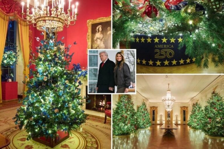 C845d365 3e85 4603 8f4b effee3db963c file.jpg