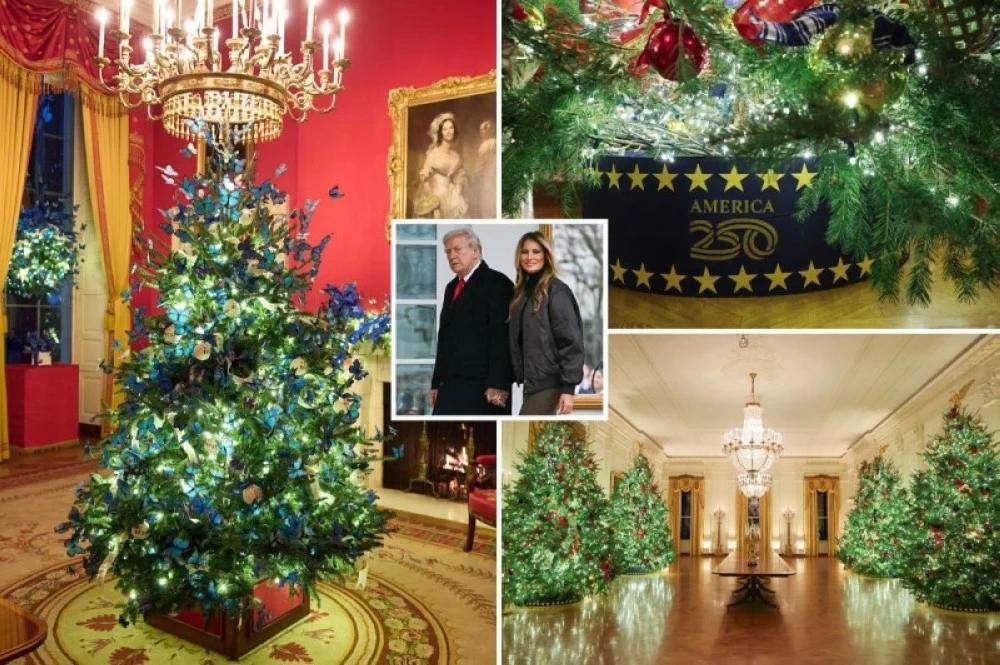 C845d365 3e85 4603 8f4b effee3db963c file.jpg