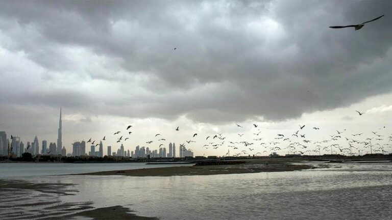 Cc9bc3a6 2ee7 4b1a 954a 1e134ba18c02 file.jpg