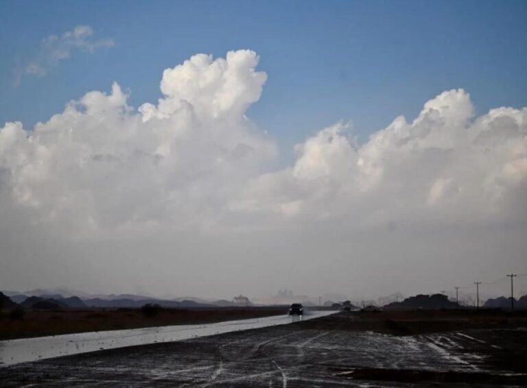 Ceefbc7c 27c0 46c7 9acf 96613997765d file.jpg