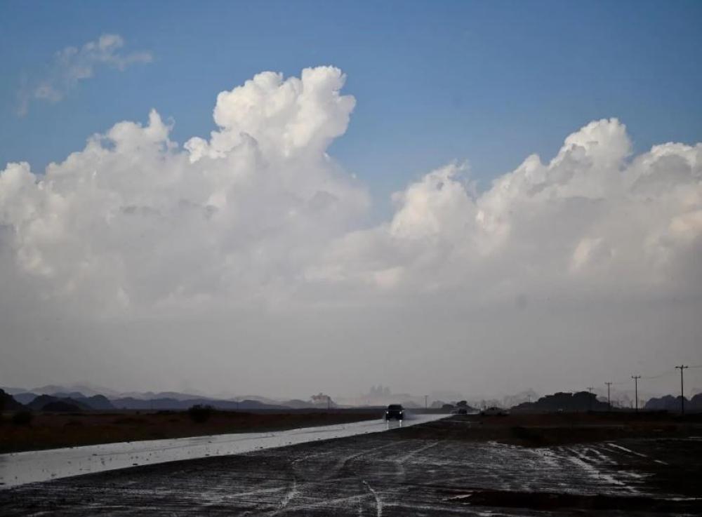 Ceefbc7c 27c0 46c7 9acf 96613997765d file.jpg