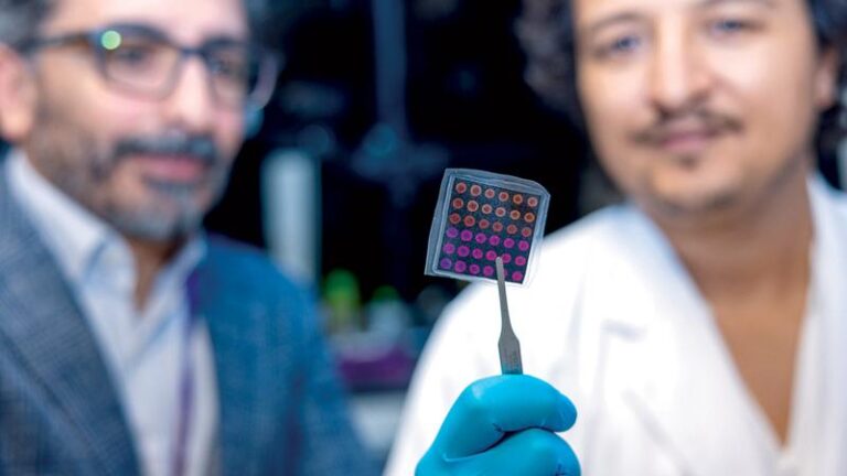 Cf801b75 0fc5 46fe 8fa2 bd80353c0f78 file.jpg