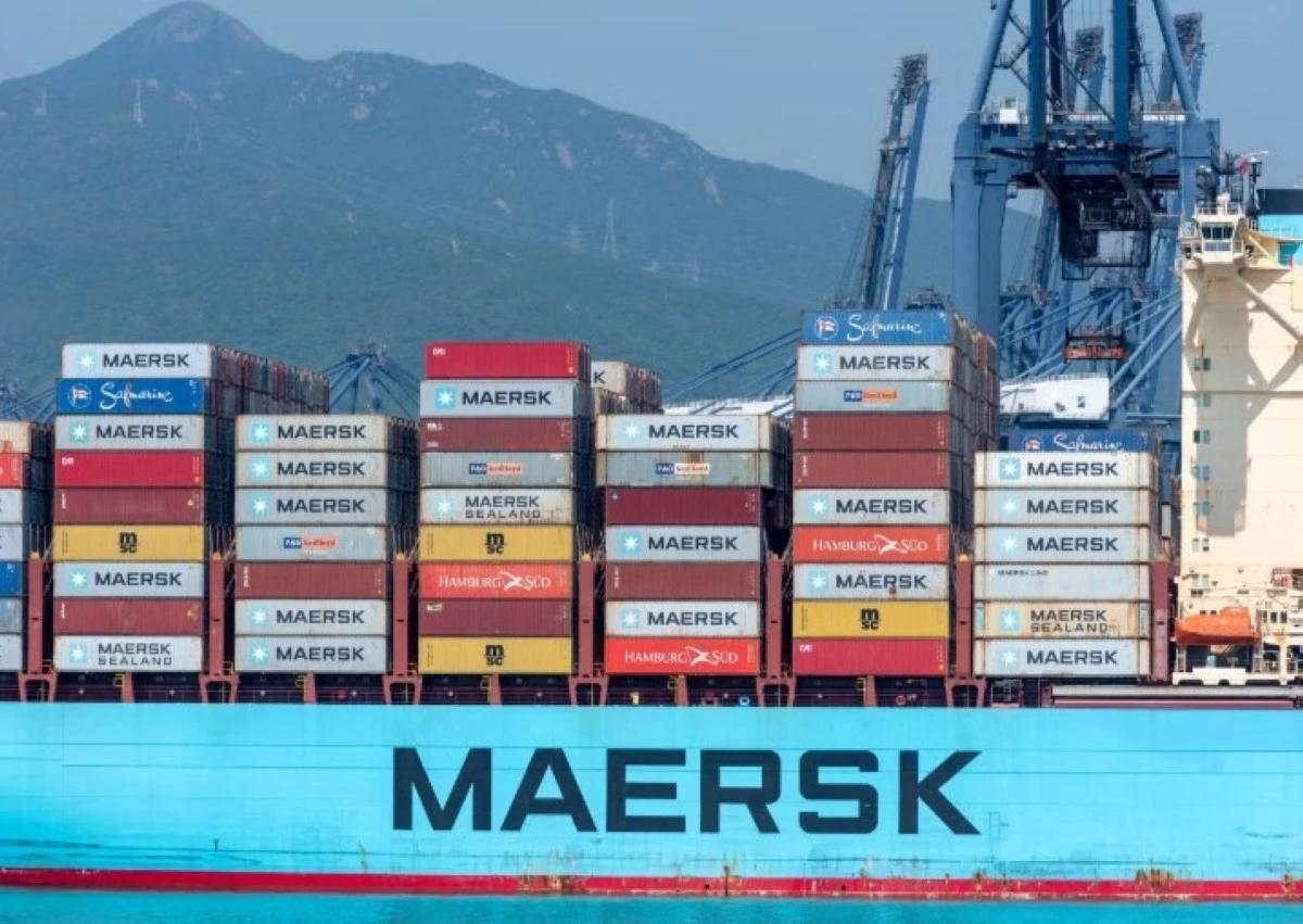 D1b1c90f 9119 4d72 bbc1 afba5d8c9cf4 file.jpg