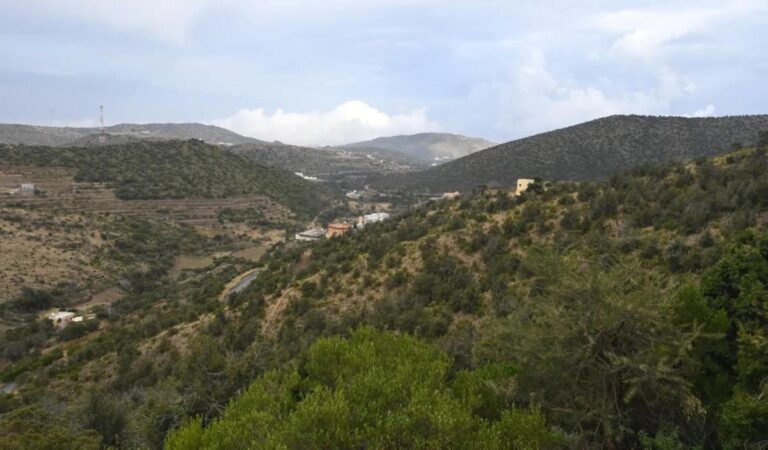 D3545d2c e1ce 4b60 9dcd bfadd7729fb6 file.jpg