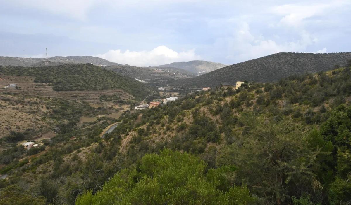 D3545d2c e1ce 4b60 9dcd bfadd7729fb6 file.jpg