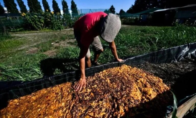 D3c3cfc2 5c41 4431 8453 d4e76a21e769 file.jpg