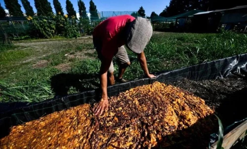 D3c3cfc2 5c41 4431 8453 d4e76a21e769 file.jpg