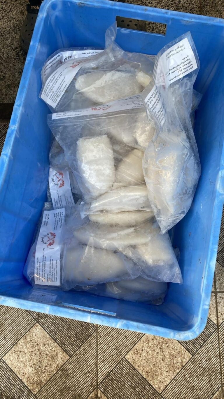 D508c4e1 ea4b 435a b981 51841e21251c file.jpg