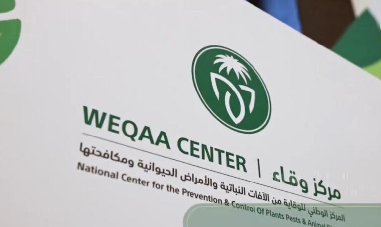 D6733e86 4fb2 4665 af5a 0fd52ffe24bb file.jpg