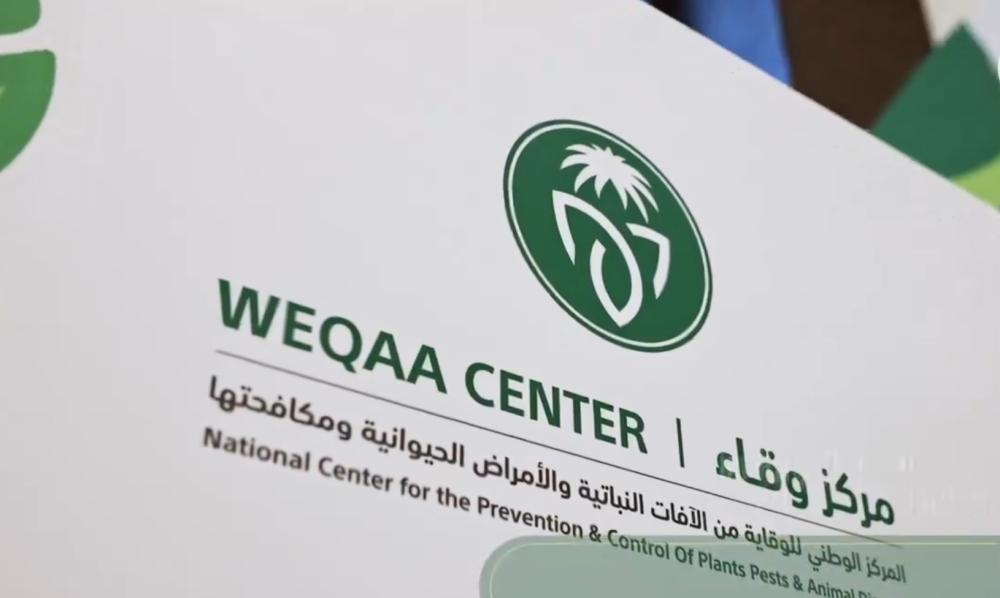 D6733e86 4fb2 4665 af5a 0fd52ffe24bb file.jpg