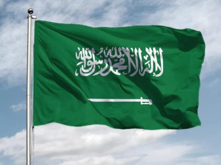 D6a9e99c 31ce 4eb8 a76e 7e0ebf608649 file.jpg