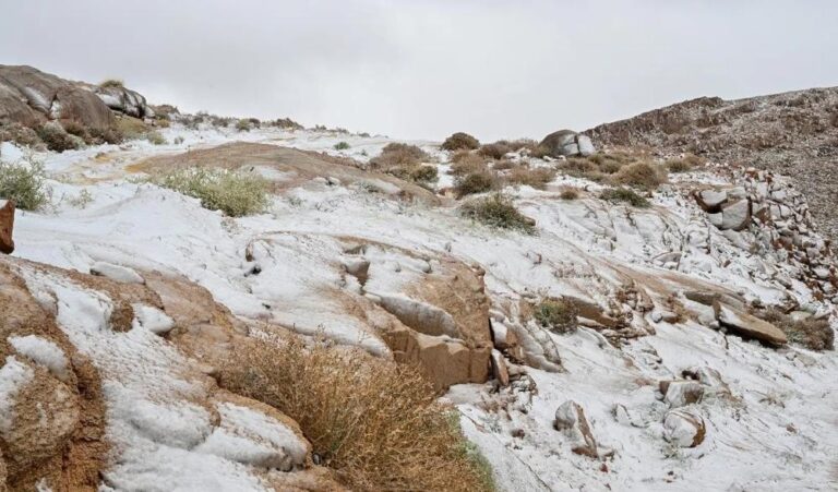 D7f9622a 1ed5 4903 b6ea a9af0e3f3ed6 file.jpg