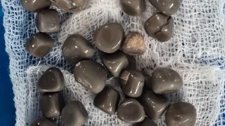 Dac6578c 1606 4c30 bdd3 46383f275a87 file.jpg