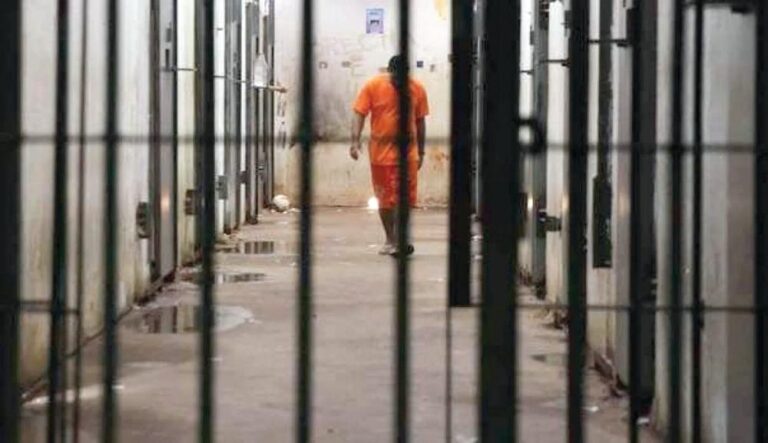 Db683d54 f09a 4415 9ec6 e613899c1834 file.jpg