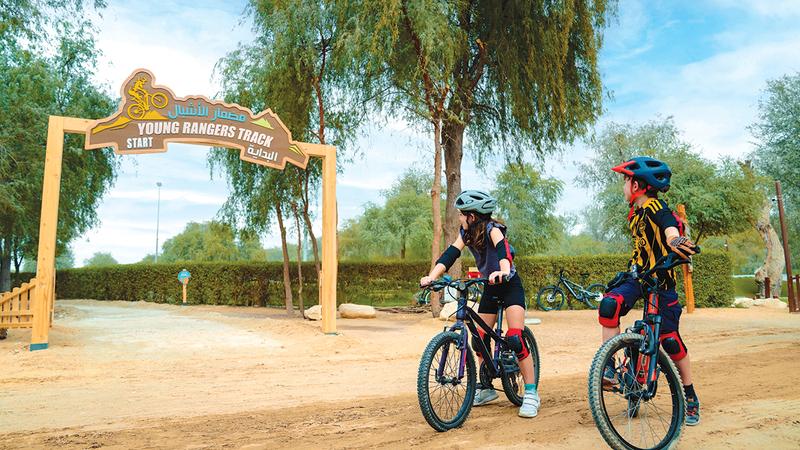 Df1071c0 c669 4d9c a11d 0168b53a26c9 file.jpg