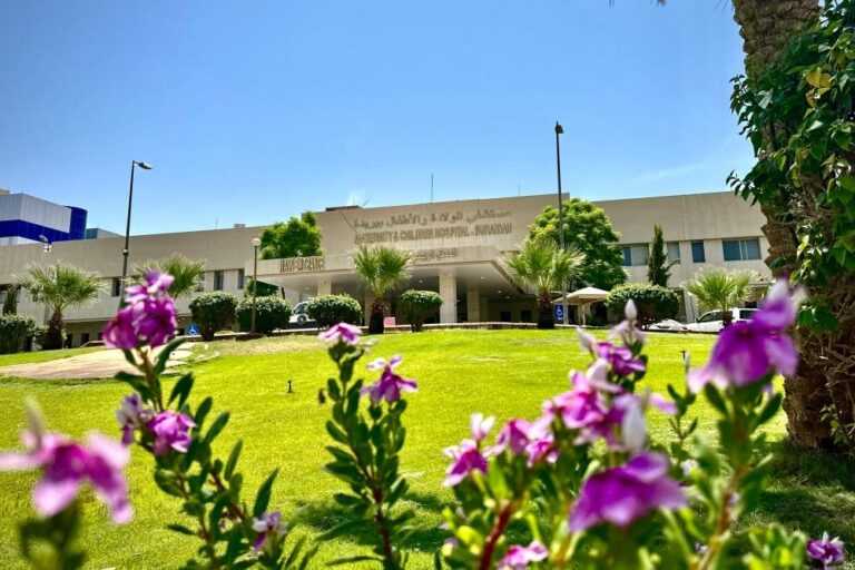 Df41e3ee 128c 4ef5 86d1 3b016f28f00b file.jpg