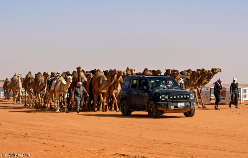 E084f390 e282 431f 8531 6bf06289629c file.jpg