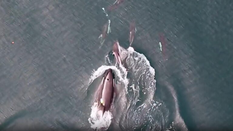 E36e1422 e02e 438d 93f4 3bbf6ac980d4 file.jpg