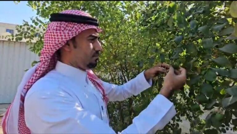 E4cfba4d 8ac0 41e8 b5b7 37b1ab8a18e4 file.jpg