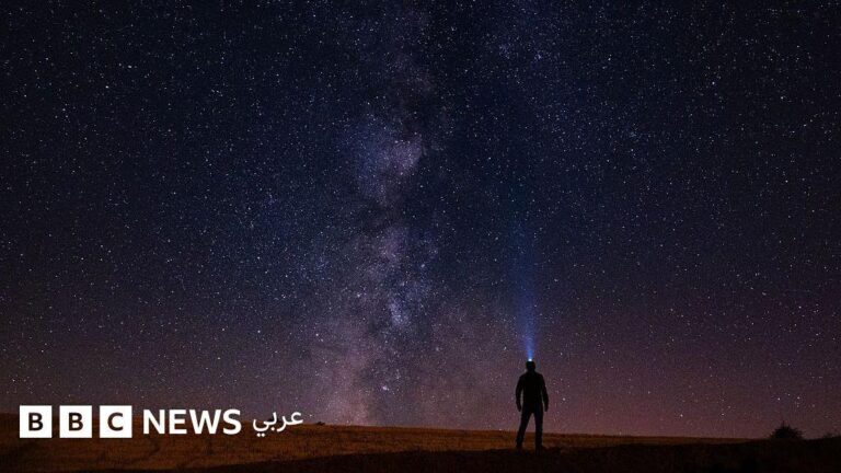 E7293cc2 378c 4f59 bf33 631909cc5ac7 file.jpg