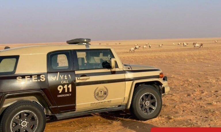 E7e6d441 9b80 4c83 affe e1fdc2fc932c file.jpg